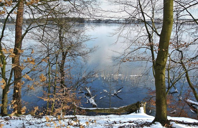 Bungalow am See mit Ruderboot in Klein Labenz - Photo 31