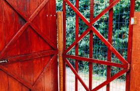 Cantinho Dona Cleide - Foto 53