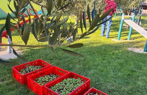 Villa Popovi a Dvori - Six Bedroom Villa with Pool - Foto 69