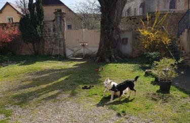 La Petite Maison du Gardien - Foto 41