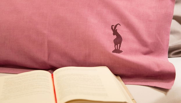 Priva Alpine Lodge Lenzerheide - Foto 4, Zimmer