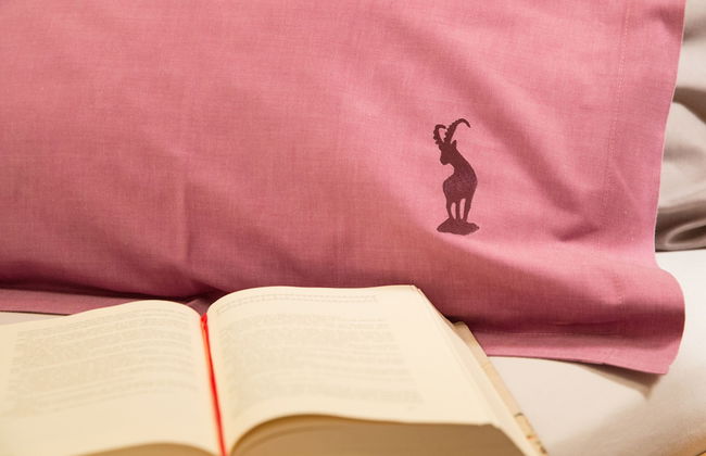 Priva Alpine Lodge Lenzerheide - Photo 7