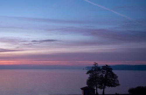 Eco-lodges Lacanau Moutchic Inn - 4 pers - Foto 25