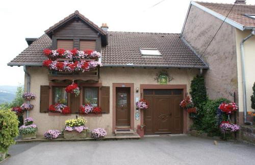 Maison charmante avec jardin à Haselbourg - Vue sur montagnes - Foto 1