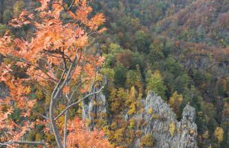 Ferienwohnung Christine - Foto 18