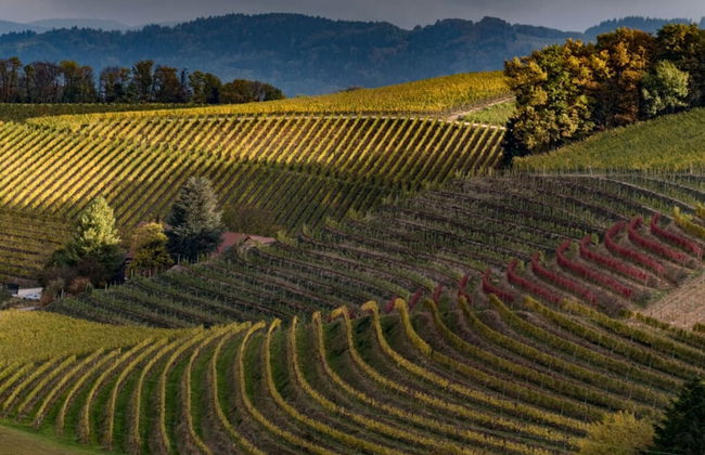 Fantastic Apartment in Oberkirch - Foto 25