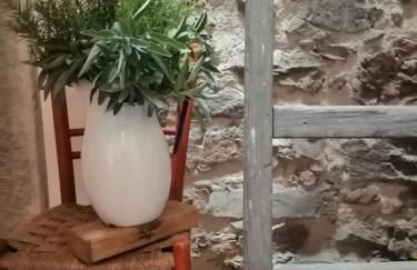 Az. Agr. IL PARADISO di Beatrice Bondielli - Foto 35