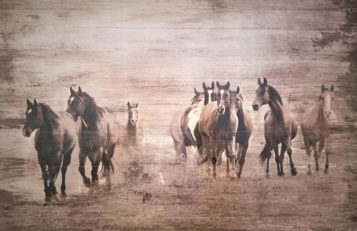 Peak Valley Manor, a Modern Farmhouse - Foto 12