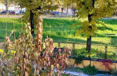 La casetta nel verde in città - Photo 1