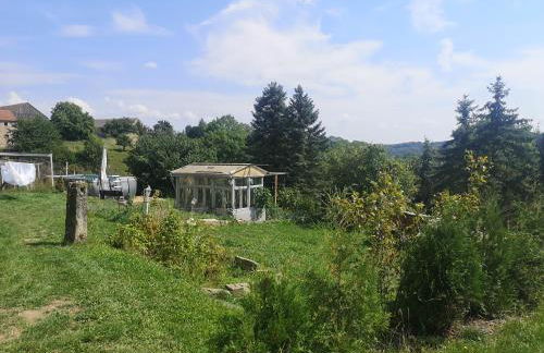 Gutshof und Ferienwohnung Proft - Foto 27