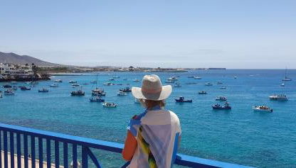 Erizo de mar - Foto 3