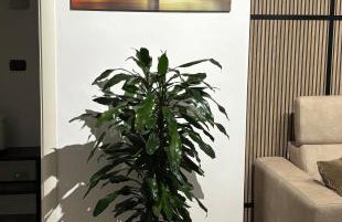 B&B Bari Apartment by Margi - Photo 80