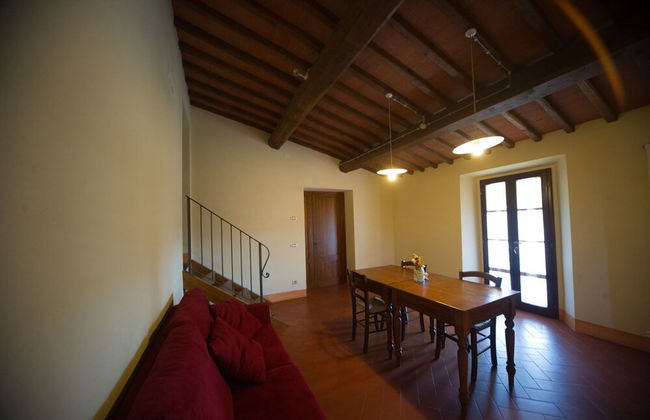 azienda agricola lo zolfino - Foto 31