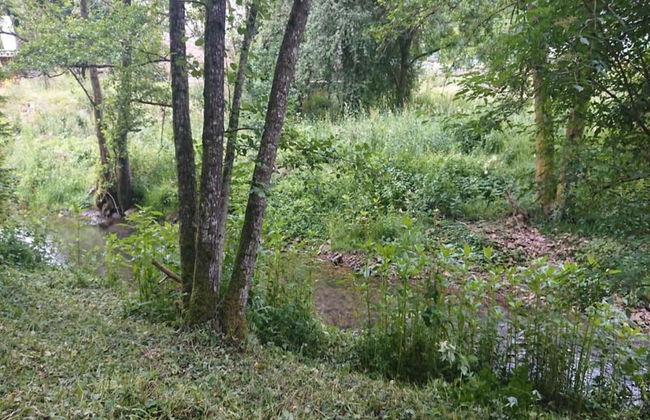 Chalet in Germany With Fireplace & Terrace - Photo 29