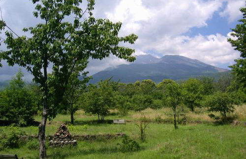 Cirasellaetna - Foto 90