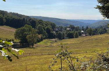 Ferienhaus Buren-Hof - Foto 23