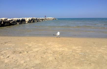 Agriturismo Santo Stefano - Foto 64