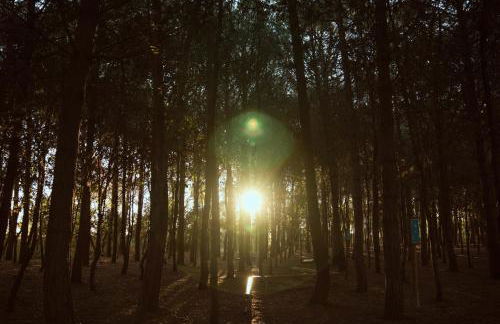 Carlotta's home - Vasto Marina - Foto 18