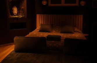 Jungle Room Strasbourg - Évasion Tropicale - Sauna Jacuzzi Balnéo - Foto 25