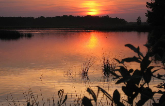 Tranquil Farmhouse near Forest in Ulicoten with Terrace - Foto 31