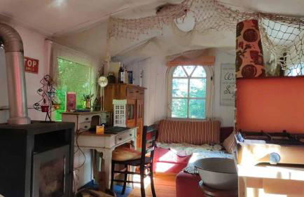 Trailer - DSCHUNGEL LODGE - Foto 8