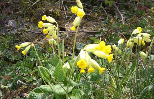 Lieblingsnest Detmold - Foto 64