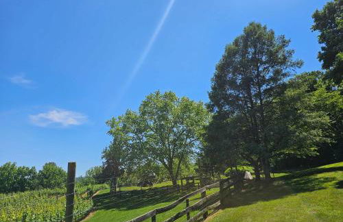 Vinewood Estate & Adventures - Foto 25