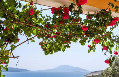 Apartmani Zorica - Foto 27