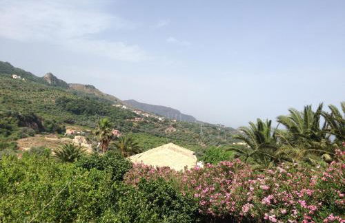 Giardino di Sicilia - Foto 55