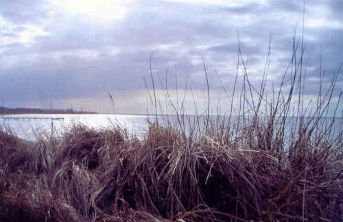 Ferienhaus in der Naehe der Ostsee - Foto 37