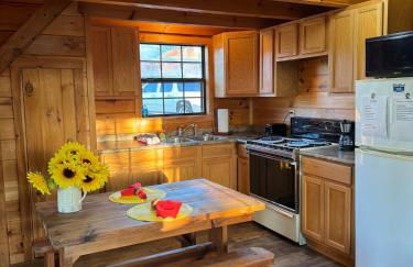 Dream of a Log Cabin - Foto 6