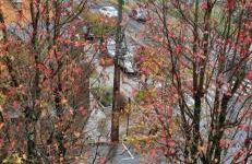 GRAMADO TOP CENTRO - Photo 12