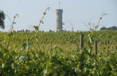 Agriturismo Feliciana - Foto 60