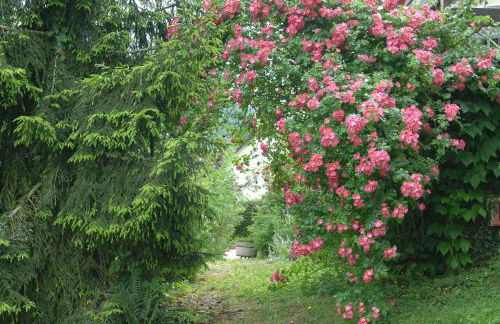 CHALET Meleze Etapeboisee - Foto 20