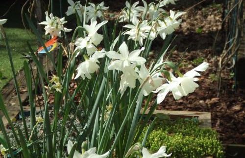 Queens Road Rental - Winchester Accommodation - Foto 34