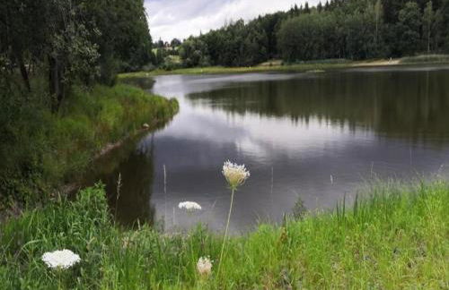 Geraumige Ferienwohnung im Sauerland - Foto 77
