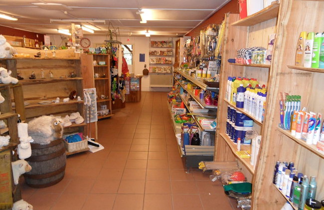 Vakantiepark De Wiltzangh - Foto 41