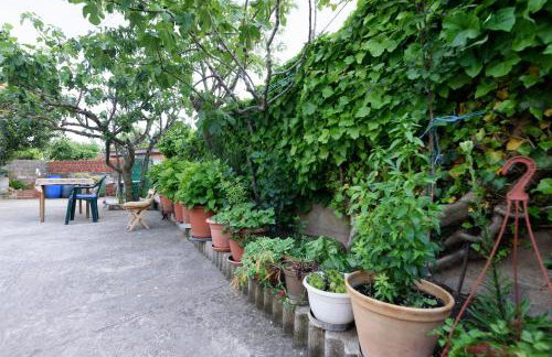 Apartman Lastavica - Foto 54