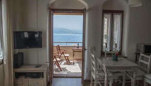 Grand View Rhea - Photo 3