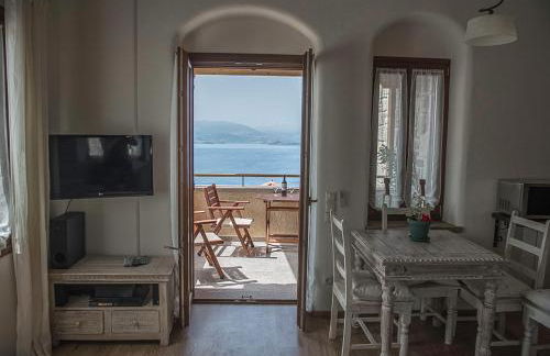 Grand View Rhea - Photo 3