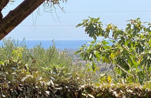 Villetta Mirto piscina condivisa - Photo 11