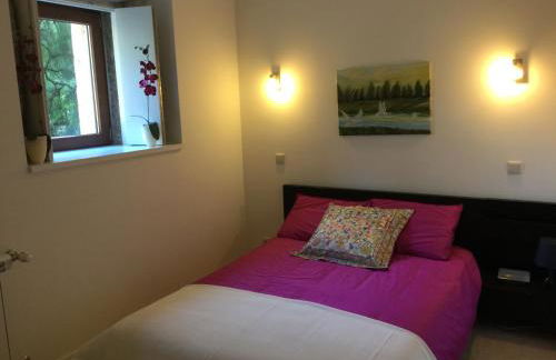 Azenha do Trigo - Foto 37