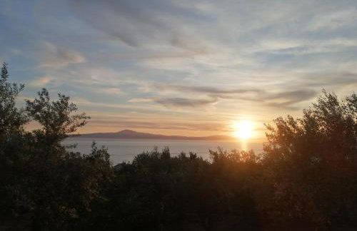 ΚΤΗΜΑ ΠΑΥΛΟΜΠΕΗ OLIVE & SEA - Foto 22