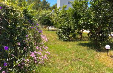 Lemon Loft - Photo 9