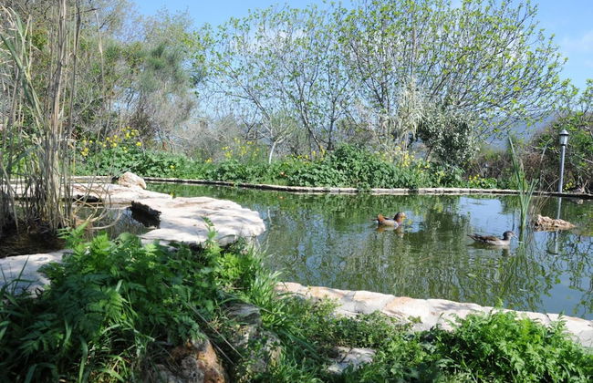 Le Ghiande - Photo 37