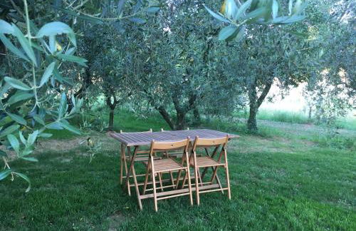 Agriturismo La Casina nel Vigneto - Foto 25