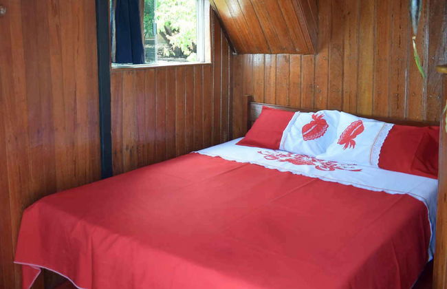 Tour de 5 días por el río Arapiuns - Foto 10