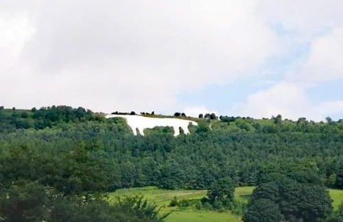 Grange Farm Lodge - Foto 16