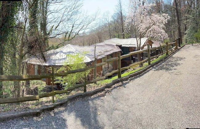 Treetops in Town - Foto 6