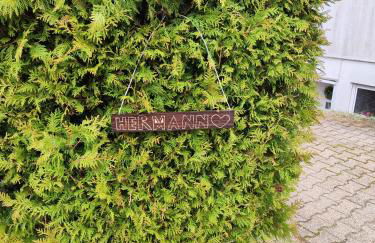 Ferienhaus Hermann - Foto 15